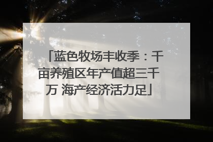 蓝色牧场丰收季：千亩养殖区年产值超三千万 海产经济活力足