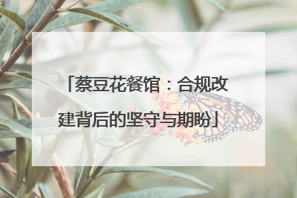 蔡豆花餐馆：合规改建背后的坚守与期盼
