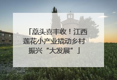 藠头喜丰收！江西莲花小产业撬动乡村振兴“大发展”
