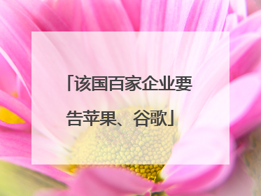 该国百家企业要告苹果、谷歌