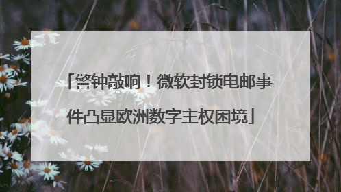 警钟敲响！微软封锁电邮事件凸显欧洲数字主权困境