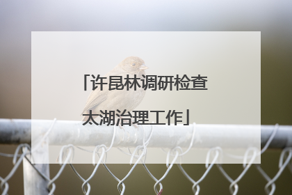 许昆林调研检查太湖治理工作