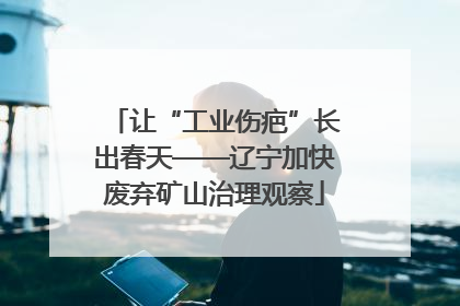 让“工业伤疤”长出春天——辽宁加快废弃矿山治理观察