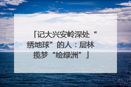 记大兴安岭深处“绣地球”的人：层林揽梦“绘绿洲”