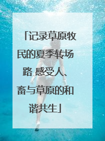 记录草原牧民的夏季转场路 感受人、畜与草原的和谐共生