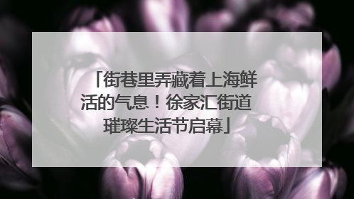 街巷里弄藏着上海鲜活的气息！徐家汇街道璀璨生活节启幕
