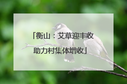衡山：艾草迎丰收 助力村集体增收
