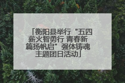 衡阳县举行“五四薪火智勇行 青春新篇扬帆启”强体铸魂主题团日活动
