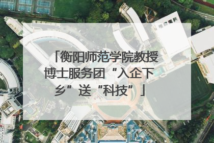 衡阳师范学院教授博士服务团“入企下乡”送“科技”
