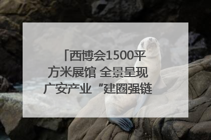 西博会1500平方米展馆 全景呈现广安产业“建圈强链”|西博视界