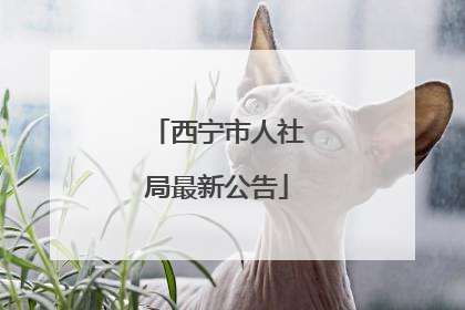 西宁市人社局最新公告