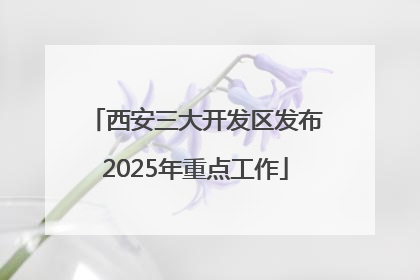 西安三大开发区发布2025年重点工作