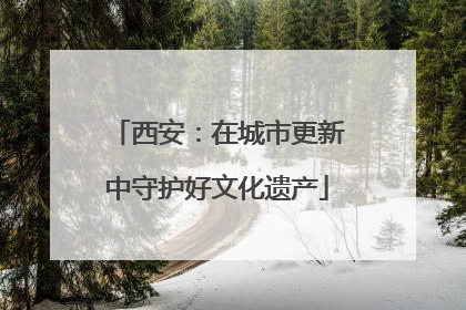 西安：在城市更新中守护好文化遗产