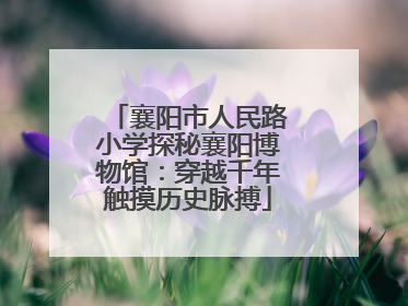 襄阳市人民路小学探秘襄阳博物馆：穿越千年触摸历史脉搏