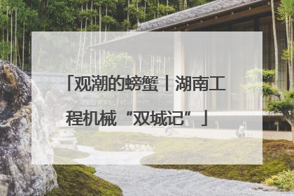 观潮的螃蟹丨湖南工程机械“双城记”