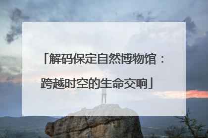解码保定自然博物馆：跨越时空的生命交响