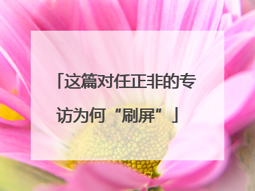 这篇对任正非的专访为何“刷屏”