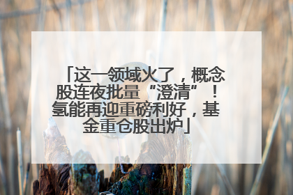 这一领域火了，概念股连夜批量“澄清”！氢能再迎重磅利好，基金重仓股出炉