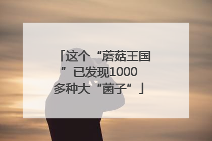这个“蘑菇王国”已发现1000多种大“菌子”
