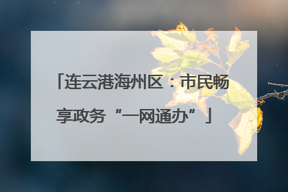 连云港海州区：市民畅享政务“一网通办”