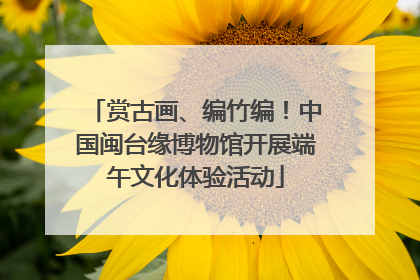 赏古画、编竹编！中国闽台缘博物馆开展端午文化体验活动