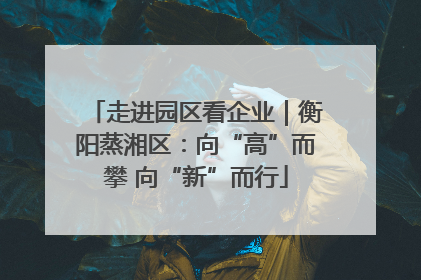走进园区看企业｜衡阳蒸湘区：向“高”而攀 向“新”而行