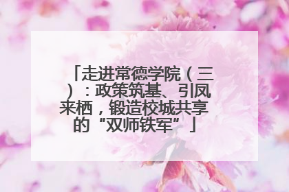 走进常德学院（三）：政策筑基、引凤来栖，锻造校城共享的“双师铁军”