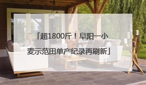 超1800斤！阜阳一小麦示范田单产纪录再刷新