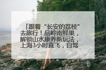 跟着“长安的荔枝”去旅行！品岭南鲜果，解锁山水康养新玩法，上海3小时直飞，自驾高速费优惠