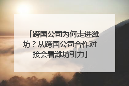 跨国公司为何走进潍坊？从跨国公司合作对接会看潍坊引力