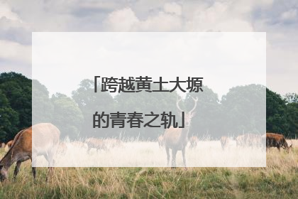 跨越黄土大塬的青春之轨