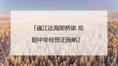 通江达海架桥梁 岳阳中非经贸正扬帆