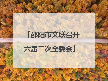 邵阳市文联召开六届二次全委会