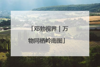 邓勃视界｜万物同栖岭南图