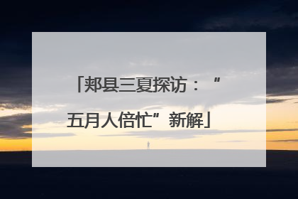 郏县三夏探访：“五月人倍忙”新解