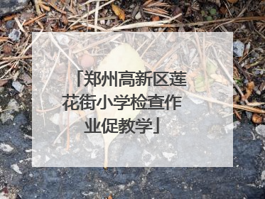郑州高新区莲花街小学检查作业促教学