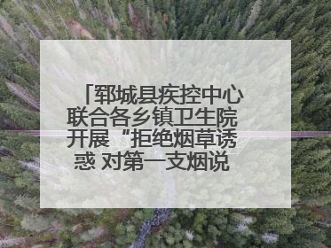 郓城县疾控中心联合各乡镇卫生院开展“拒绝烟草诱惑 对第一支烟说不”健康教育宣传活动