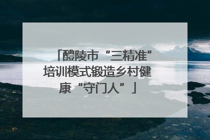 醴陵市“三精准”培训模式锻造乡村健康“守门人”
