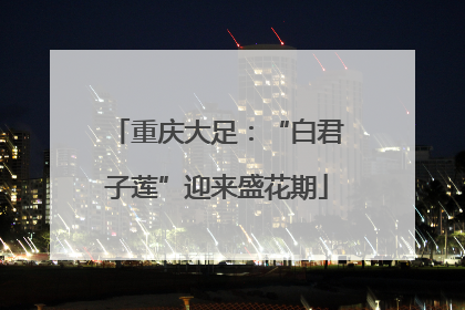 重庆大足：“白君子莲”迎来盛花期