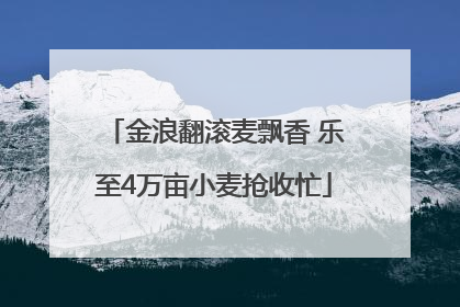金浪翻滚麦飘香 乐至4万亩小麦抢收忙