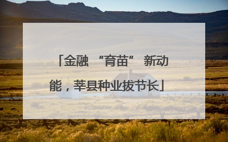 金融 “育苗” 新动能，莘县种业拔节长