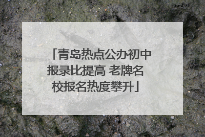 青岛热点公办初中报录比提高 老牌名校报名热度攀升