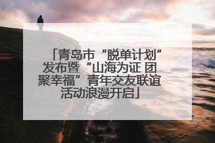 青岛市“脱单计划”发布暨“山海为证 团聚幸福”青年交友联谊活动浪漫开启