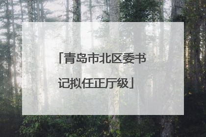 青岛市北区委书记拟任正厅级
