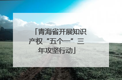 青海省开展知识产权“五个一”三年攻坚行动