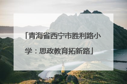 青海省西宁市胜利路小学：思政教育拓新路