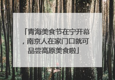 青海美食节在宁开幕，南京人在家门口就可品尝高原美食啦