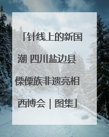 针线上的新国潮 四川盐边县傈僳族非遗亮相西博会｜图集