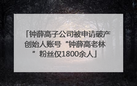钟薛高子公司被申请破产 创始人账号“钟薛高老林”粉丝仅1800余人
