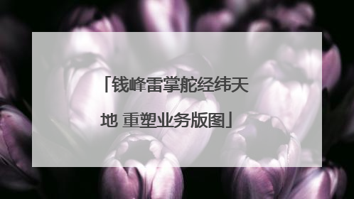 钱峰雷掌舵经纬天地 重塑业务版图